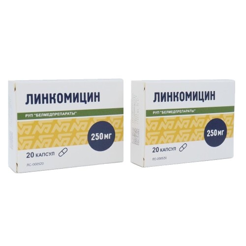 Линкомицин 300 мг/мл раствор для внутривенного и внутримышечного ...
