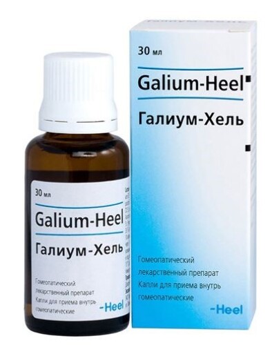 Купить Галиум-хель капли для приема внутрь гомеопатического применения 30 мл цена