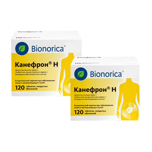 Набор КАНЕФРОН Н N120 ТАБЛ П/О закажи 2уп по специальной цене