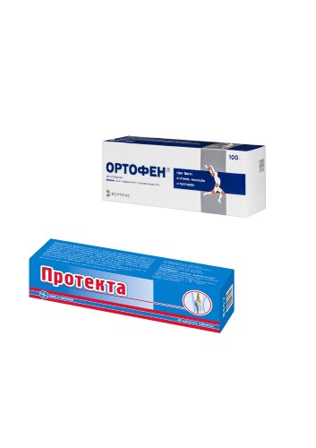 Набор из 1 уп. ПРОТЕКТА N20 ШИП ТАБЛ и  1 уп. ОРТОФЕН 2% 100,0 МАЗЬ Д/НАРУЖ ПРИМ по спец.цене