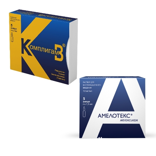 Набор АМЕЛОТЕКС 0,01/МЛ 1,5МЛ N5 АМП + КОМПЛИГАМ В 2МЛ N5 АМП со скидкой