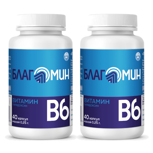 Набор из 2-х уп БЛАГОМИН ВИТАМИН В6 (ПИРИДОКСИН) 2МГ N40 КАПС ПО 0,25Г