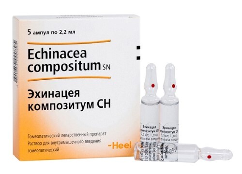 Купить Эхинацея композитум сн раствор для внутримышечного введения гомеопатического применения 2,2 мл ампулы 5 шт. цена