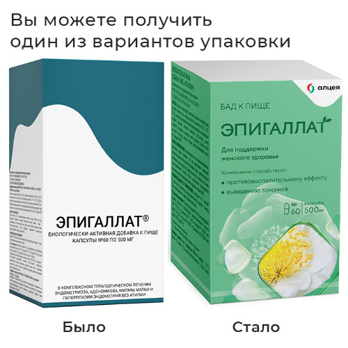 Купить Эпигаллат 60 шт. капсулы массой 500 мг цена