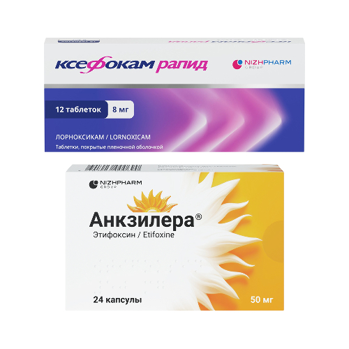 Набор Ксефокам Рапид N12 + Анкзилера №24 по специальной цене