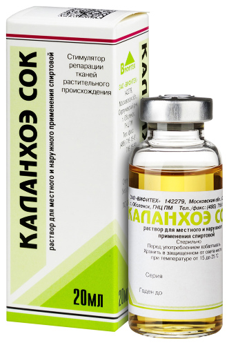 КАЛАНХОЭ СОК