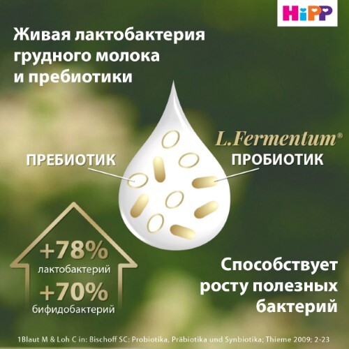 Детская молочная смесь hipp combiotic 3 c лактобактериями сухая c 10 месяцев 600 г/коробка/