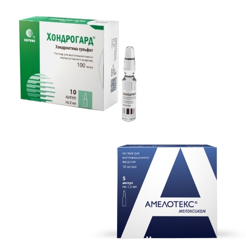 Набор Хондрогард 100 мг/мл раствор 2 мл ампулы 10 шт и  Амелотекс 10 мг/мл 1,5 мл ампулы 5 шт. со скидкой 15 %