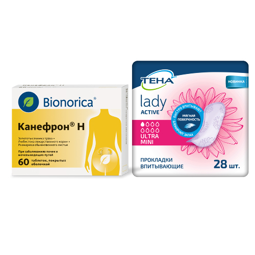 Купить Канефрон Н 60 шт. таблетки, покрытые оболочкой цена