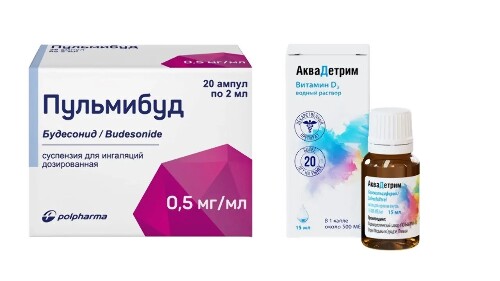 НАБОР ПУЛЬМИБУД 0,0005/МЛ 2МЛ N20 АМП СУСП Д/ИНГ + АКВАДЕТРИМ 15000МЕ/МЛ 15МЛ КАПЛИ закажи со скидкой