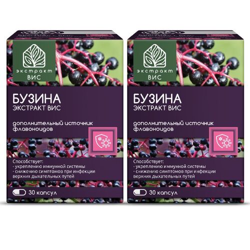 Набор из 2-х уп БУЗИНА ЭКСТРАКТ ВИС N30 КАПС ПО 0,45Г