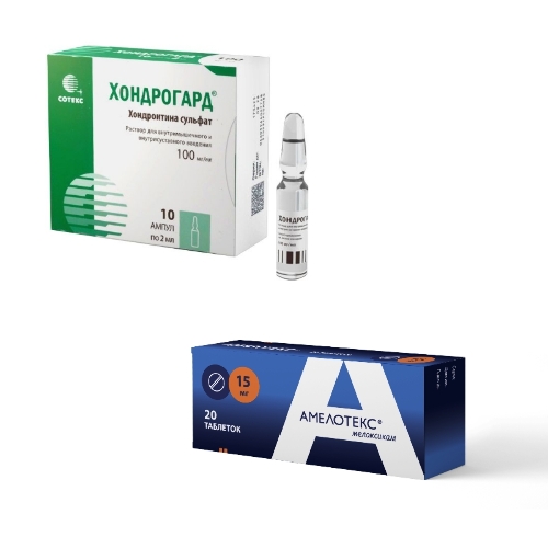 Набор Хондрогард 100 мг/мл раствор 2 мл ампулы 10 шт и  Амелотекс 15 мг 20 шт. таблетки  со скидкой 15 %