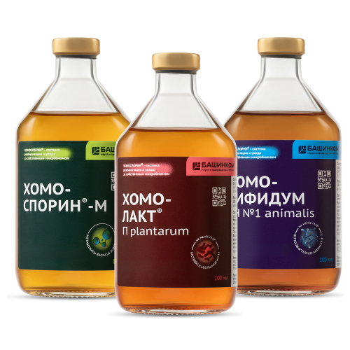 Набор Иммунитет Дорожный ХОМО-ЛАКТ П PLANTARUM 100МЛ ФЛАК ЖИДКОСТЬ+ХОМО-БИФИДУМ АН N1 ANIMALIS 100МЛ ФЛАК ЖИДКОСТЬ+ХОМОСПОРИН-М 100МЛ ФЛАК ЖИДКОСТЬ