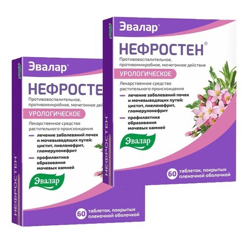 Купить Нефростен 60 шт. таблетки, покрытые пленочной оболочкой в Москве Нефростен 60 шт. таблетки, покрытые пленочной оболочкой