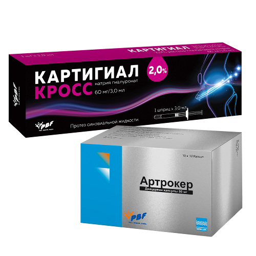 НАБОР Картигиал кросс протез синовиальной жидкости 2% 3 мл + Артрокер 50 мг 100 шт. ПО ВЫГОДНОЙ ЦЕНЕ - цена 24448.83 руб., купить в интернет аптеке в Кемерово НАБОР Картигиал кросс протез синовиальной жидкости 2% 3 мл + Артрокер 50 мг 100 шт. ПО ВЫГОДНОЙ ЦЕНЕ, инструкция по применению