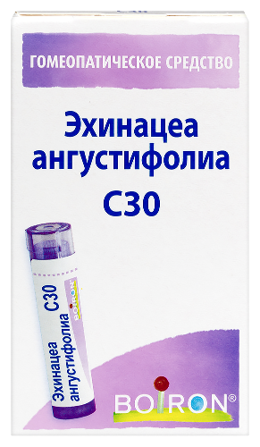 ЭХИНАЦЕА АНГУСТИФОЛИА С30 ГОМЕОПАТ МОНОКОМП ПРЕПАРАТ РАСТИТ ПРОИСХОЖД
