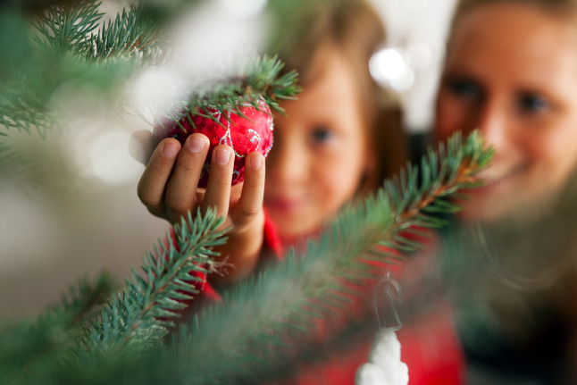Как усилить аромат живой ёлки дома перед праздником? Советы агронома