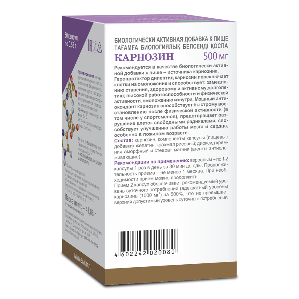 Карнозин 60 шт. капсулы - цена 3138 руб., купить в интернет аптеке в  Волгограде Карнозин 60 шт. капсулы, инструкция по применению