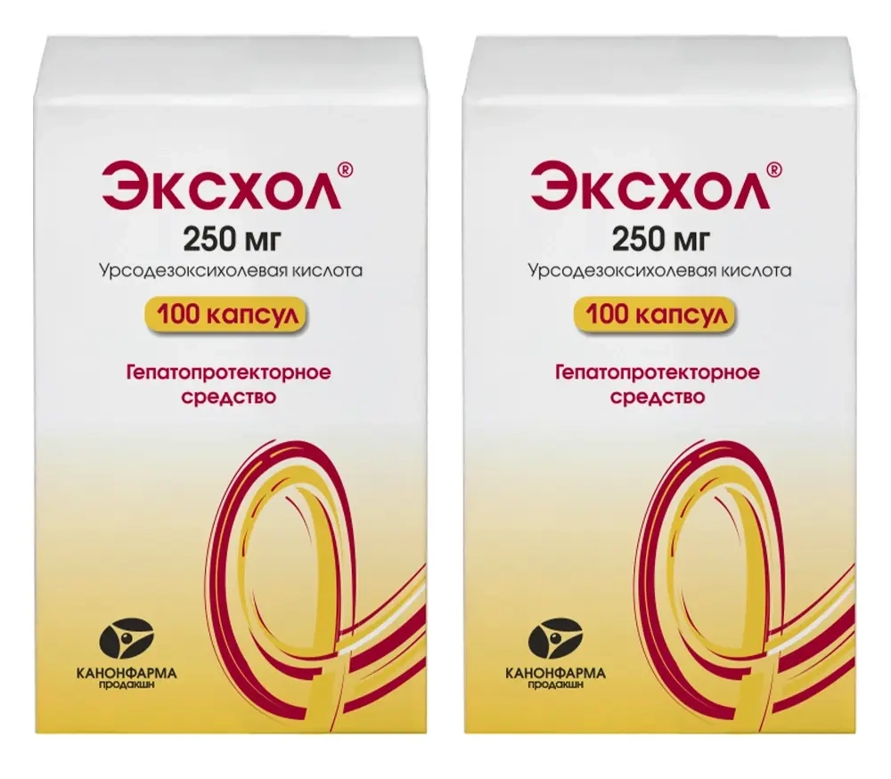 Изображение товара Набор из 2-х упаковок Эксхол 250 мг 100 шт со скидкой