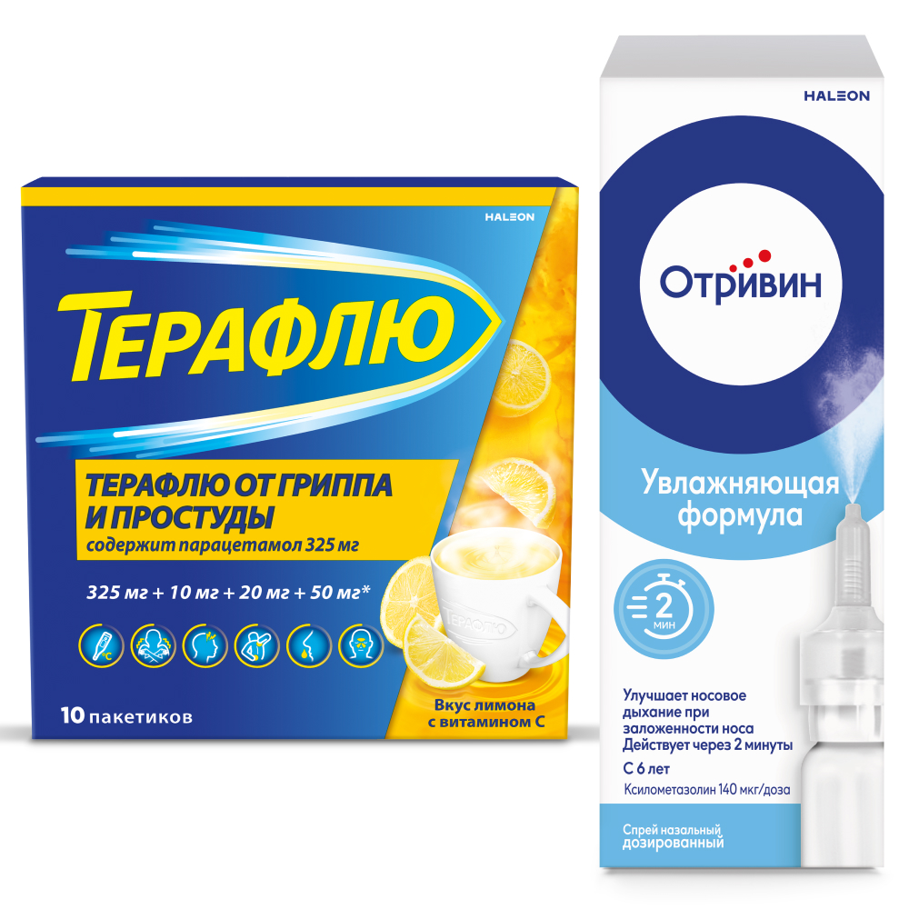 Изображение товара Набор Терафлю от гриппа и простуды N10 пак пор/лимон + Отривин 140мкг/доза 10мл(60доз) спрей назал дозир со скидкой 15%