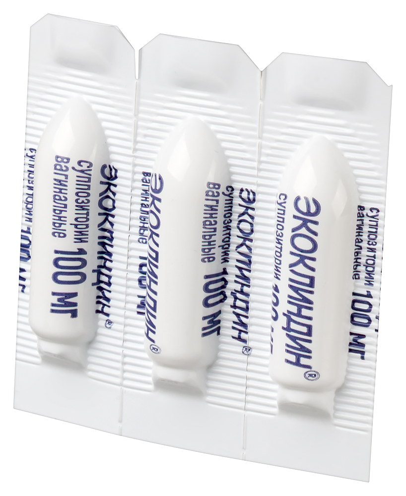 Памела Андерсон мен Томми Лидің суреті