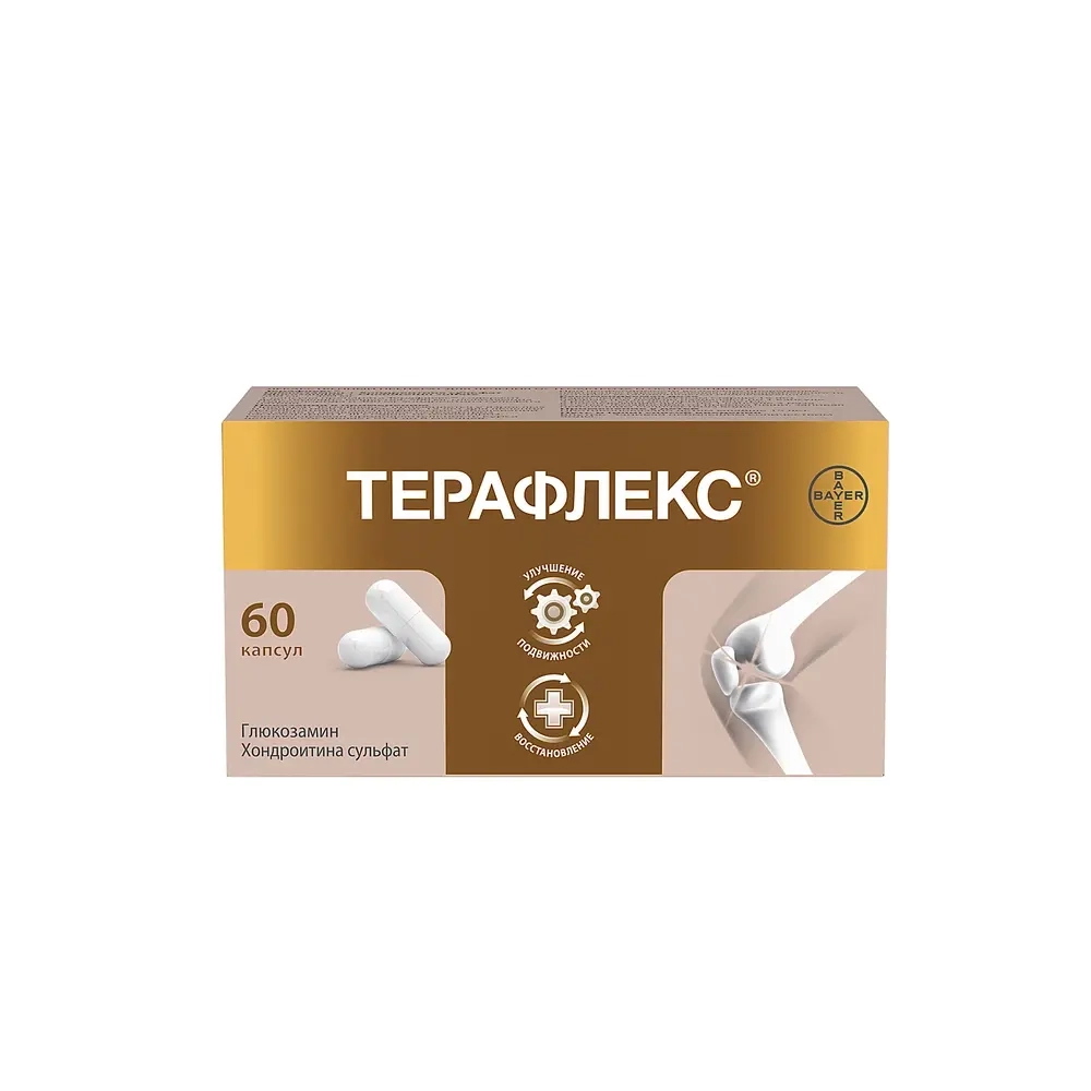 Терафлекс 500 мг + 400 мг 60 шт. капсулы инструкция по применению