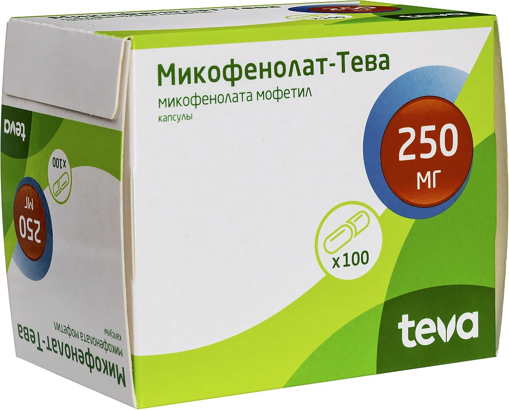 Микофенолат-тева 250 мг 100 шт. капсулы - цена 2306 руб., купить в интернет  аптеке в Стрежевом Микофенолат-тева 250 мг 100 шт. капсулы, инструкция по  применению