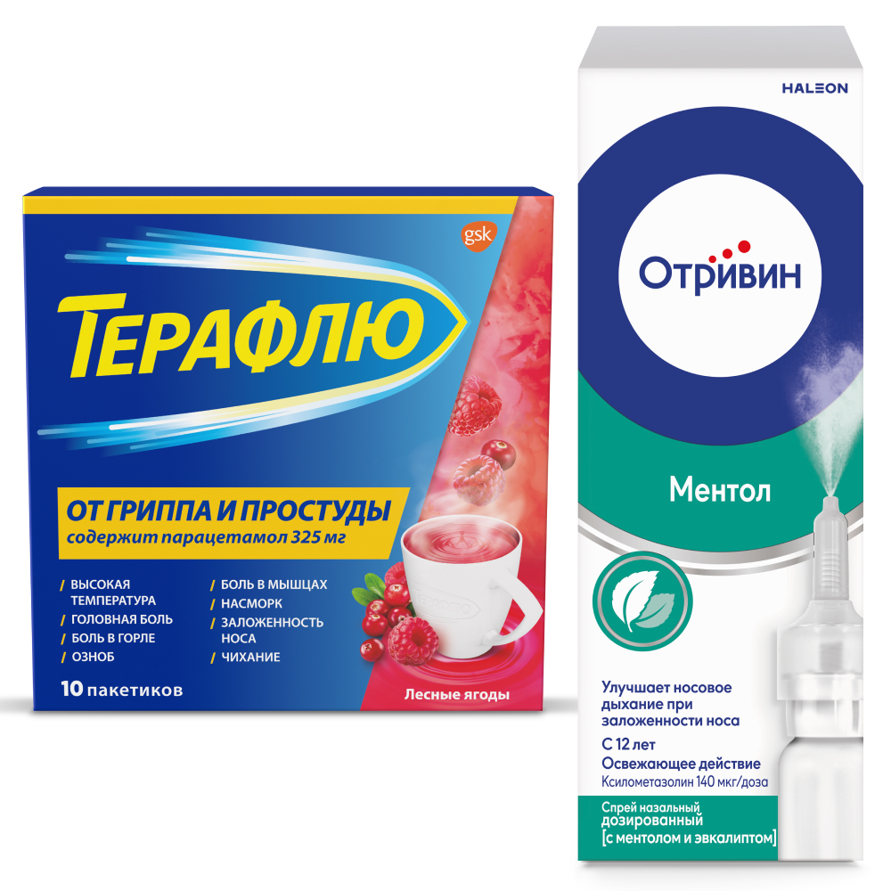 Изображение товара Набор Терафлю от гриппа и простуды N10 пак пор/лесные ягоды + Отривин 140 мкг/доза спрей назал дозиров с ментол/эвкалипт 10мл
