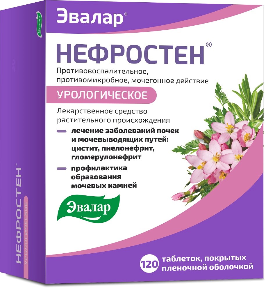 Нефростен 120 шт. таблетки, покрытые пленочной оболочкой - цена 929.10  руб., купить в интернет аптеке в Рубцовске Нефростен 120 шт. таблетки,  покрытые пленочной оболочкой, инструкция по применению