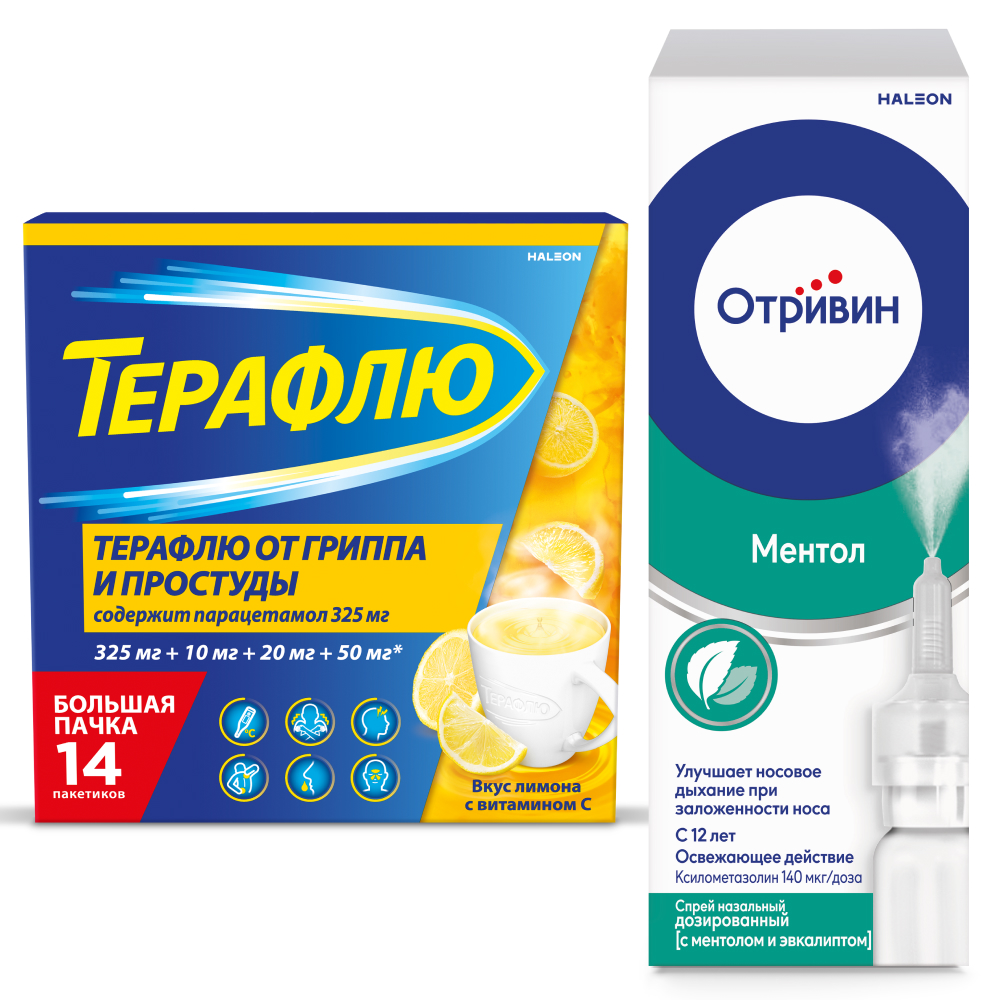 Изображение товара Набор Терафлю от гриппа и простуды N14 пак пор/лимон + Отривин 140мкг/доза 10мл спрей назалс ментолом/эвкалиптом со скидкой 5%