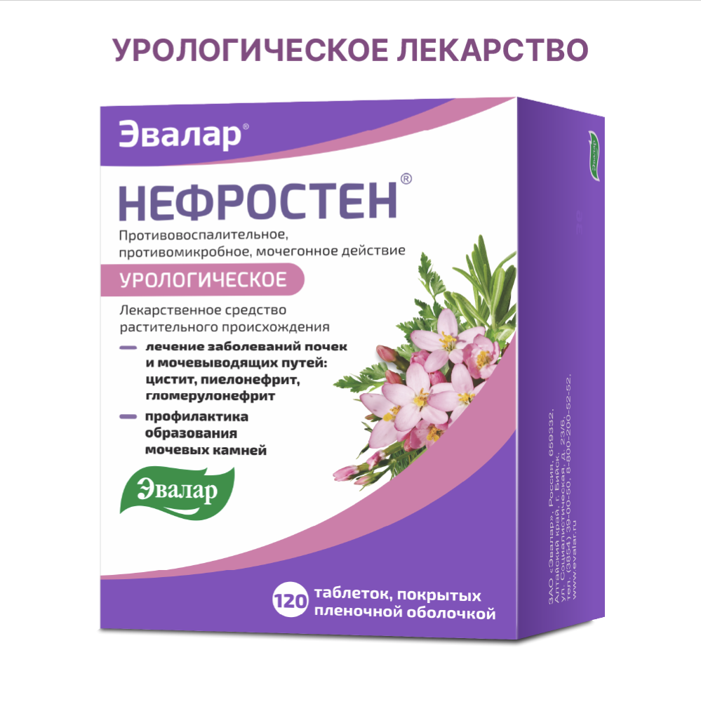 Изображение товара Нефростен таблетки покрытые пленочной оболочкой 120 шт. для лечения мочевыделительной системы