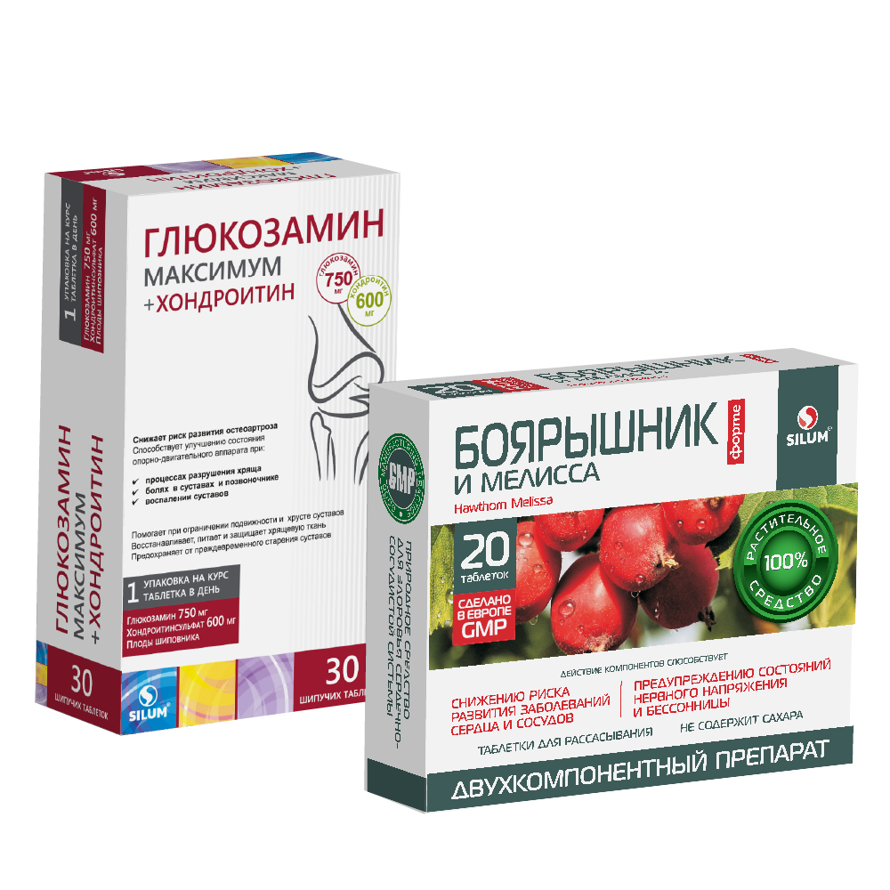 Изображение товара НАБОР БОЯРЫШНИК ФОРТЕ И МЕЛИССА СИЛУМ N20 ТАБЛ Д/РАССАС ПО 1100МГ +  ГЛЮКОЗАМИН МАКСИМУМ ВИАВИТ N30 ШИП ТАБЛ  со скидкой