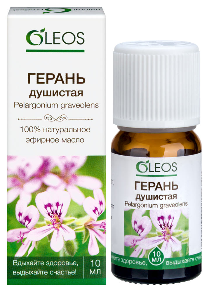 Изображение товара Эфирное масло герани душистой Oleos 10 мл для ароматерапии Изображение товара Эфирное масло герани душистой Oleos 10 мл для ароматерапии