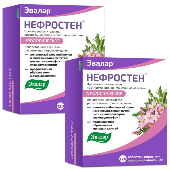 Изображение товара Набор из 2-х упаковок НЕФРОСТЕН таблетки 120шт.