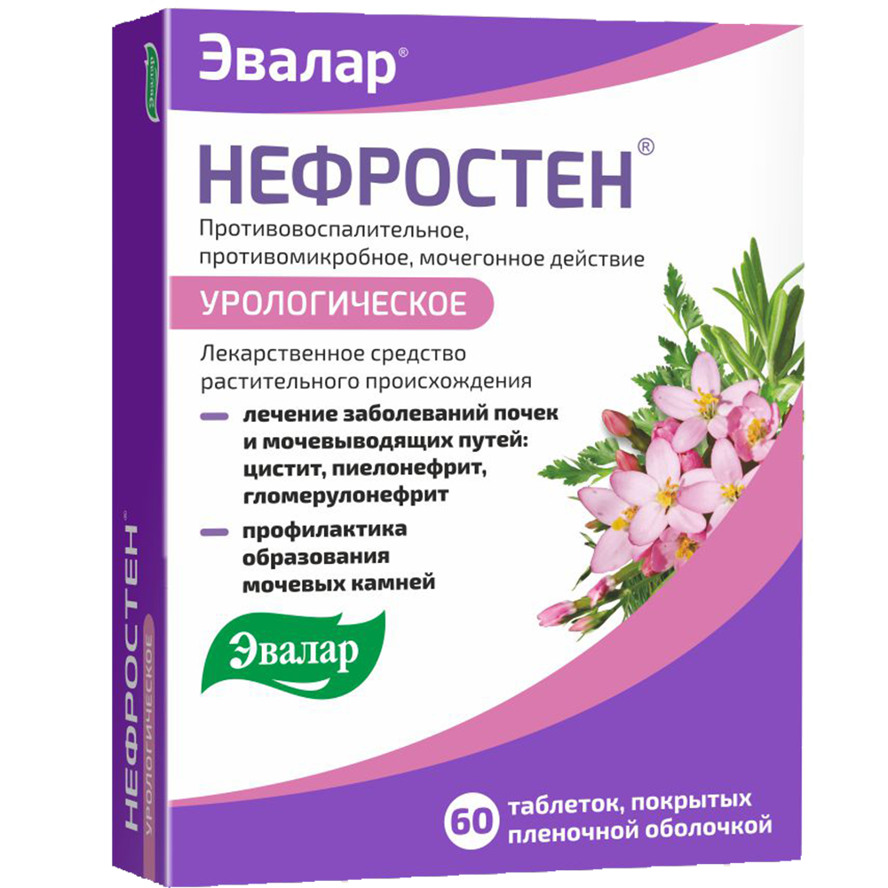 Нефростен 60 шт. таблетки, покрытые пленочной оболочкой - цена 567 руб.,  купить в интернет аптеке в Сыктывкаре Нефростен 60 шт. таблетки, покрытые  пленочной оболочкой, инструкция по применению