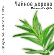 Изображение товара Масло эфирное чайное дерево 10 мл в индивидуальной упаковке