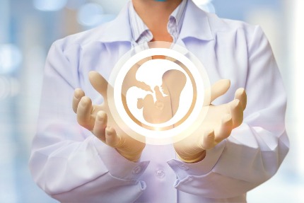 Изображение эмбриона в руках врача.