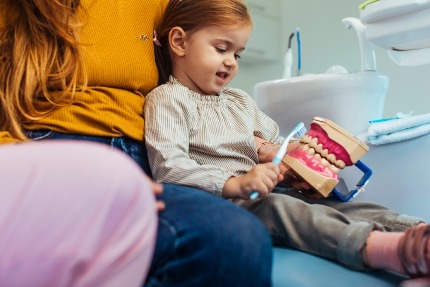 Маленькая девочка в кресле у стоматолога держит в руках макет челюсти и зубную щетку.
