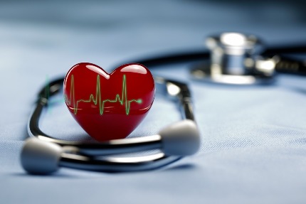 Макет сердца и стетоскоп