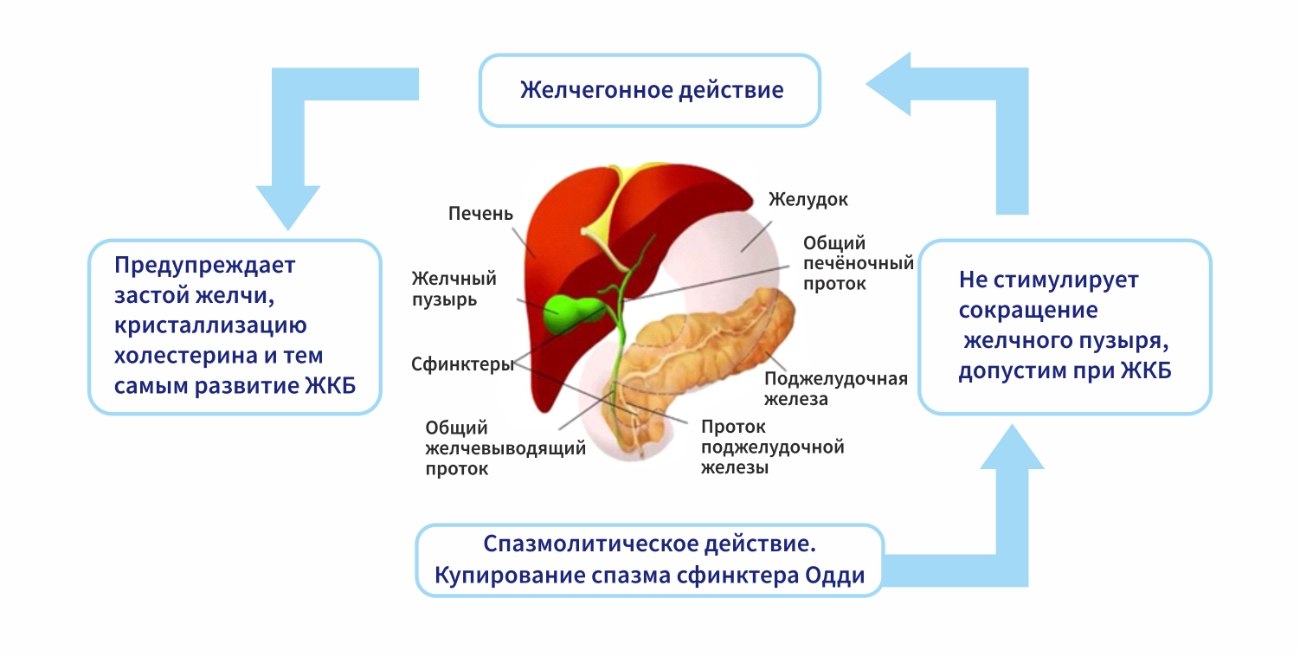 Одекромон может использоваться для лечения различных заболеваний  желчевыводящих путей