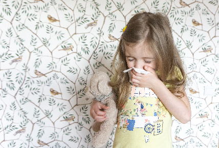 Читать статью "Почему у ребенка часто заложен нос?"