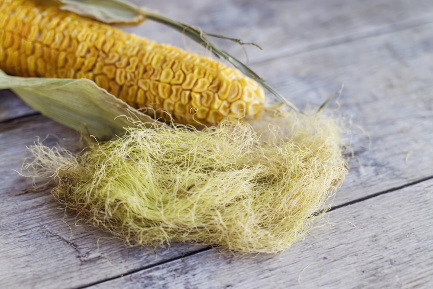 Читать статью "Польза кукурузных рылец и другие важные факты о царице полей"