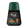 Купить Garnier men защита 6 роликовый дезодорант 50 мл цена