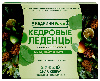 Кедрини forte кедровые леденцы с живицей и прополисом со вкусом мята лайм и лимон 20 шт. леденцы массой 3,2 г