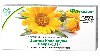 Купить Цветки календулы лекра-сэт 1,5 20 шт. фильтр-пакеты цена