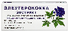 Купить Элеутерококка экстракт 100 мг 30 шт. таблетки, покрытые оболочкой цена