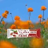 Купить Турбослим батончик для похудения со вкусом клубничный чизкейк 50 гр 1 шт. цена