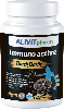 Купить Черный чеснок иммуно актив alivitpharm 90 шт. капсулы массой 492,315 мг цена