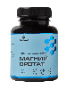 Летофарм магний оротат 30 шт. капсулы массой 0,6 г