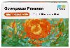 Купить Омепразол реневал 10 мг 30 шт. капсулы кишечнорастворимые цена